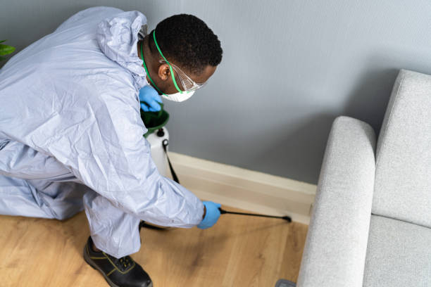 Best Fumigation Services  in Michigan City, IN